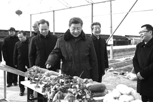 2月1日至2日,中共中央总书记、国家主席、中央军委主席习近平来到天津,看望慰问基层干部群众。这是1日上午,习近平在西青区辛口镇第六埠村考察,实地察看去年洪涝灾害后当地农业生产恢复等情况。新华社发